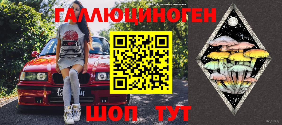 Галлюциногенные грибы Cubensis  купить наркотик  Городец  Вход с VPN 
