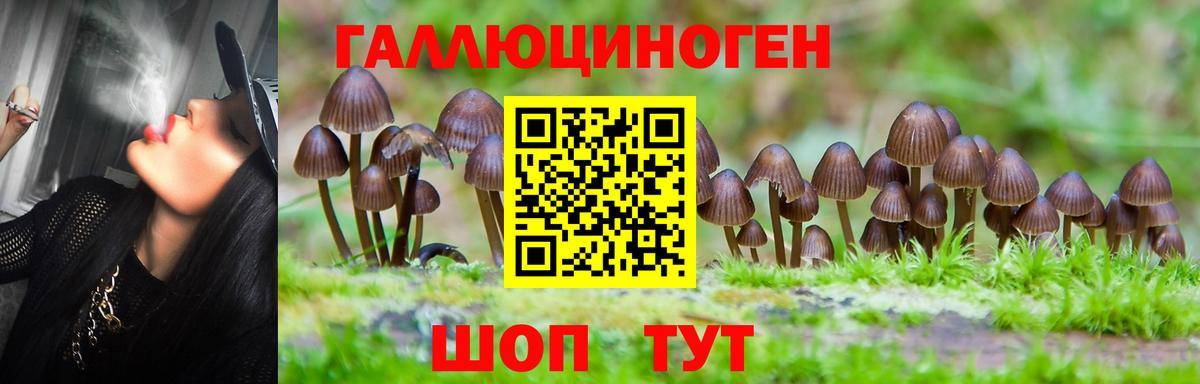 Галлюциногенные грибы Magic Shrooms Городец